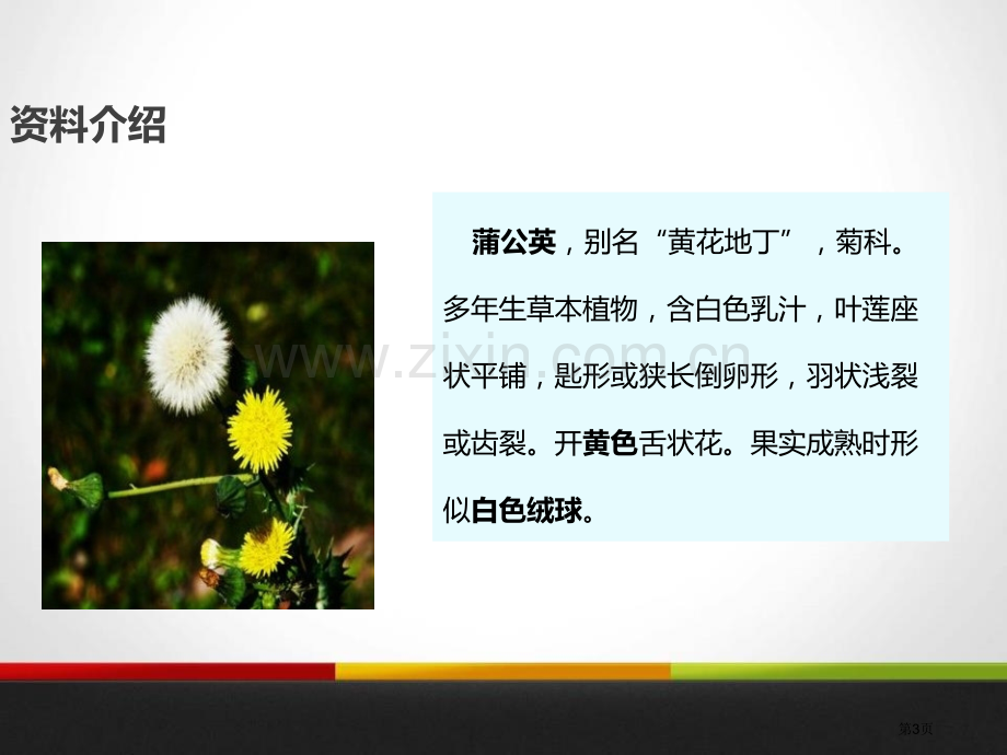 金色的草地课件省公开课一等奖新名师优质课比赛一等奖课件.pptx_第3页