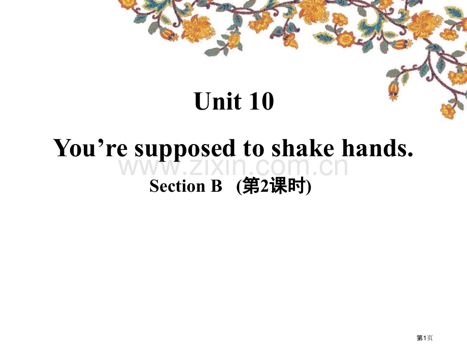 You-are-supposed-to-shake-handsSectionB-省公开课一等奖新名师.pptx_第1页