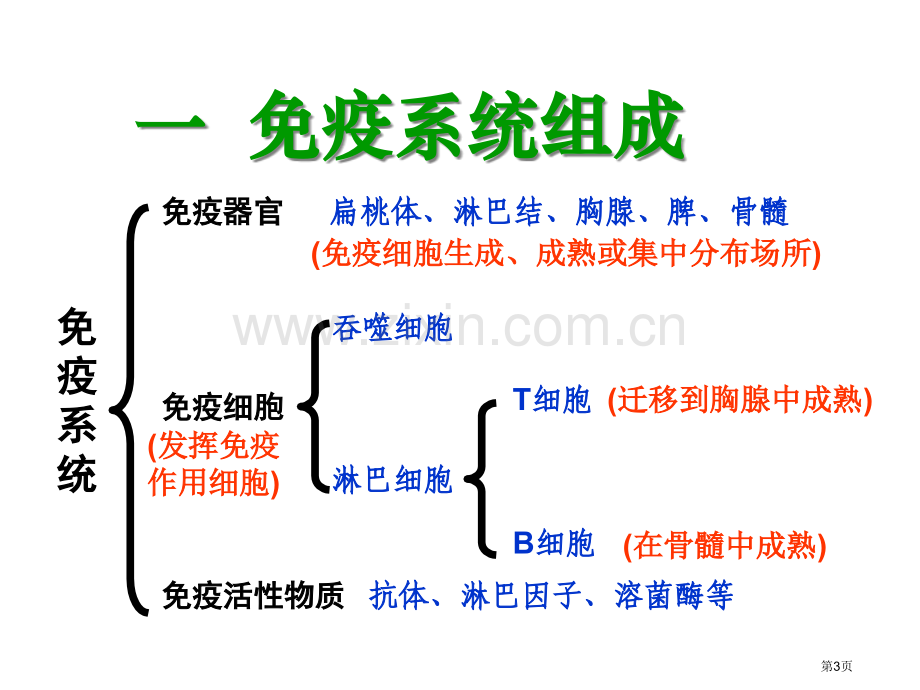 人教版教学河南省新密一高高中生物人教版必修三免疫调节省公共课一等奖全国赛课获奖课件.pptx_第3页