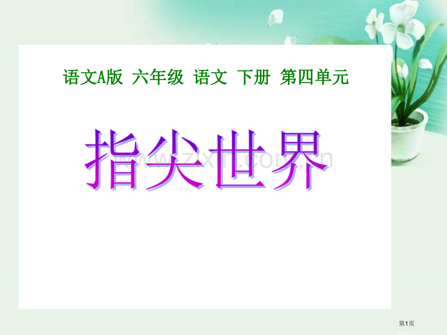 指尖的世界省公开课一等奖新名师优质课比赛一等奖课件.pptx_第1页