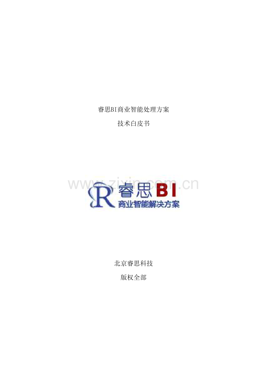 睿思BI商业智能解决方案技术白皮书模板.docx_第2页