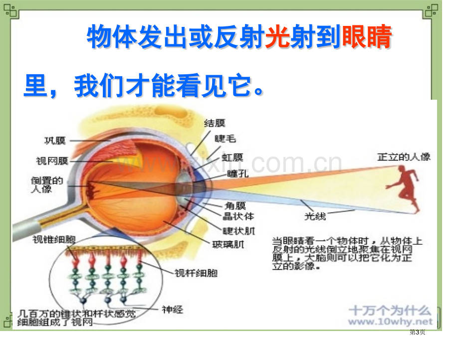 光线与视觉多彩的光课件省公开课一等奖新名师优质课比赛一等奖课件.pptx_第3页