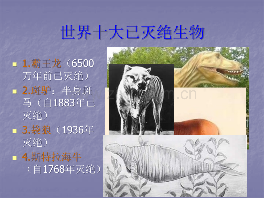 生物多样性锐减省公共课一等奖全国赛课获奖课件.pptx_第2页