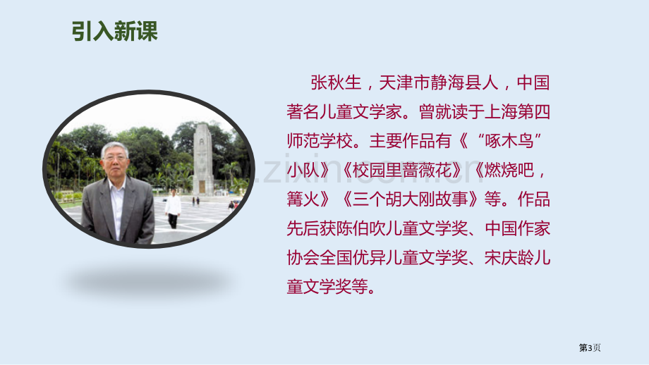 铺满金色巴掌的水泥道省公开课一等奖新名师优质课比赛一等奖课件.pptx_第3页