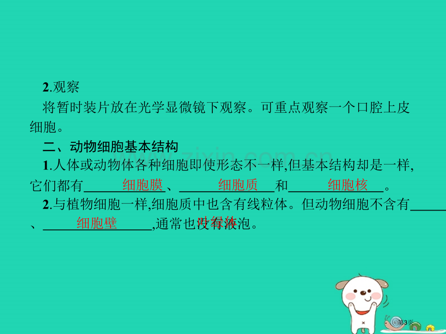 七年级生物上册2.1.3动物细胞市公开课一等奖百校联赛特等奖大赛微课金奖PPT课件.pptx_第3页