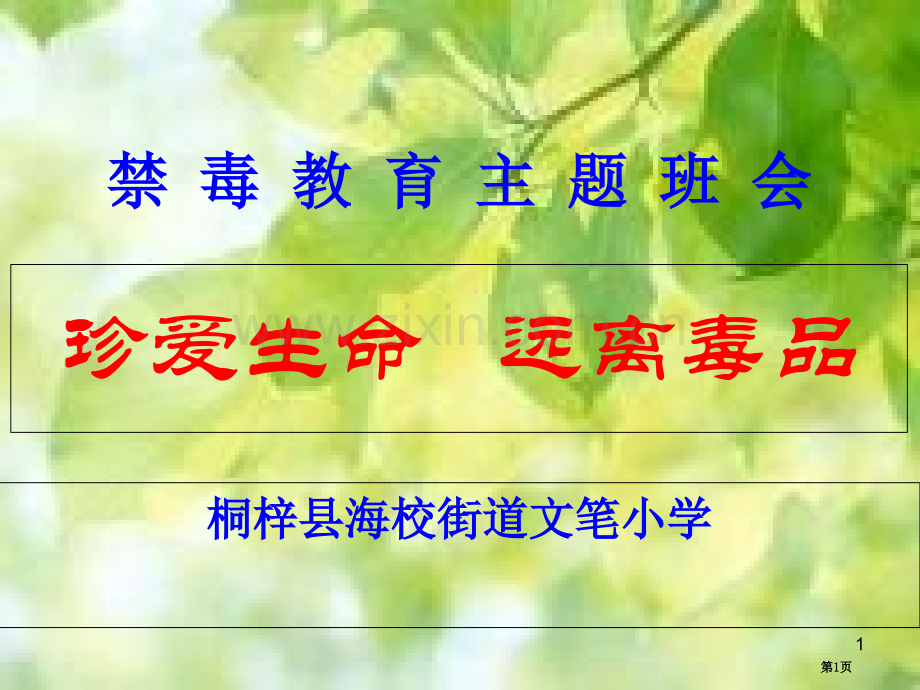 毒品预防教育主题班会省公共课一等奖全国赛课获奖课件.pptx_第1页