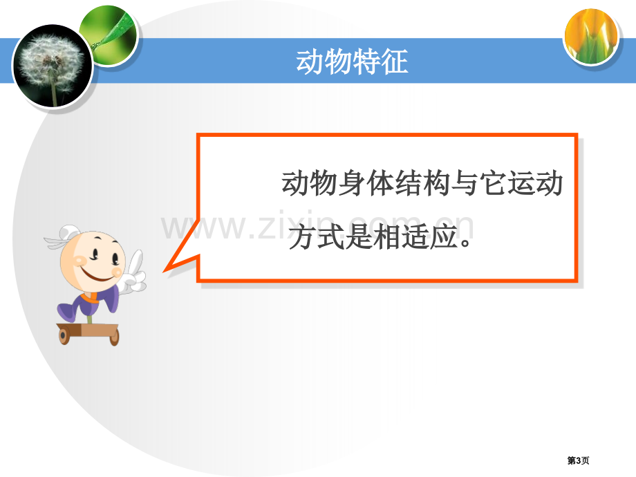 动物的特征多种多样的动物课件省公开课一等奖新名师优质课比赛一等奖课件.pptx_第3页