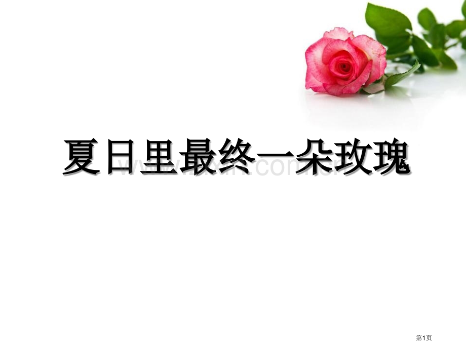 夏日里最后一朵玫瑰省公开课一等奖新名师优质课比赛一等奖课件.pptx_第1页