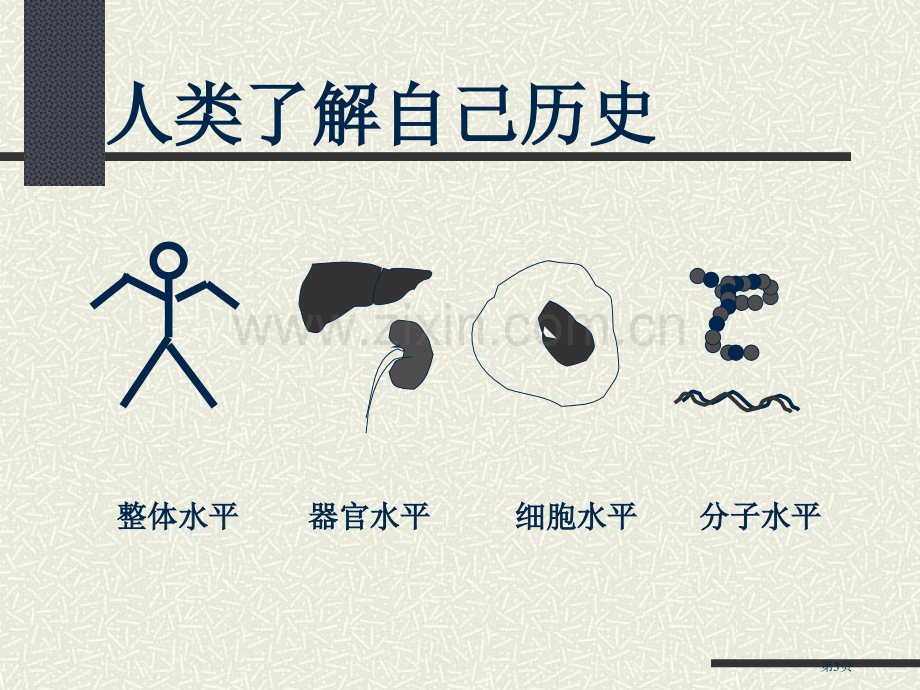 分子生物学概述研究生省公共课一等奖全国赛课获奖课件.pptx_第3页