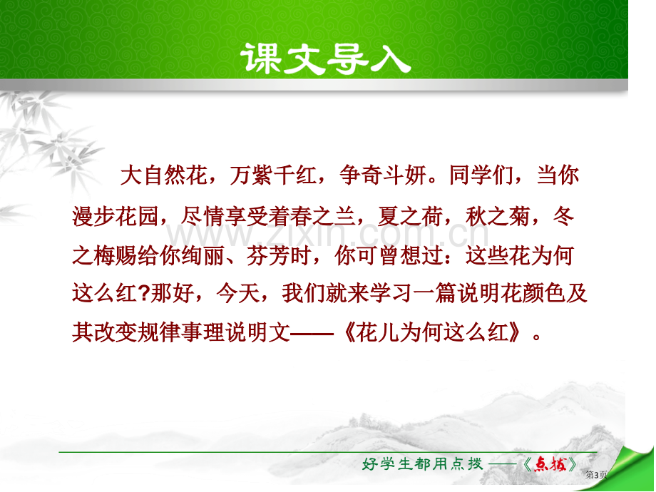 花儿为什么这样红省公开课一等奖新名师比赛一等奖课件.pptx_第3页