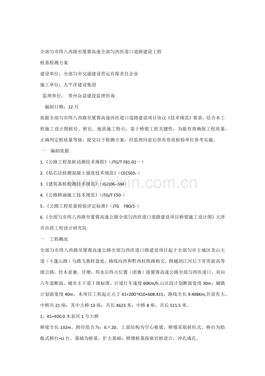 公路桥梁桩基检测专业方案.docx_第1页