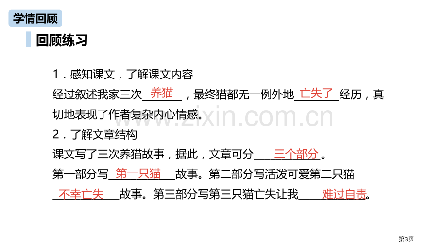 猫讲义省公开课一等奖新名师优质课比赛一等奖课件.pptx_第3页