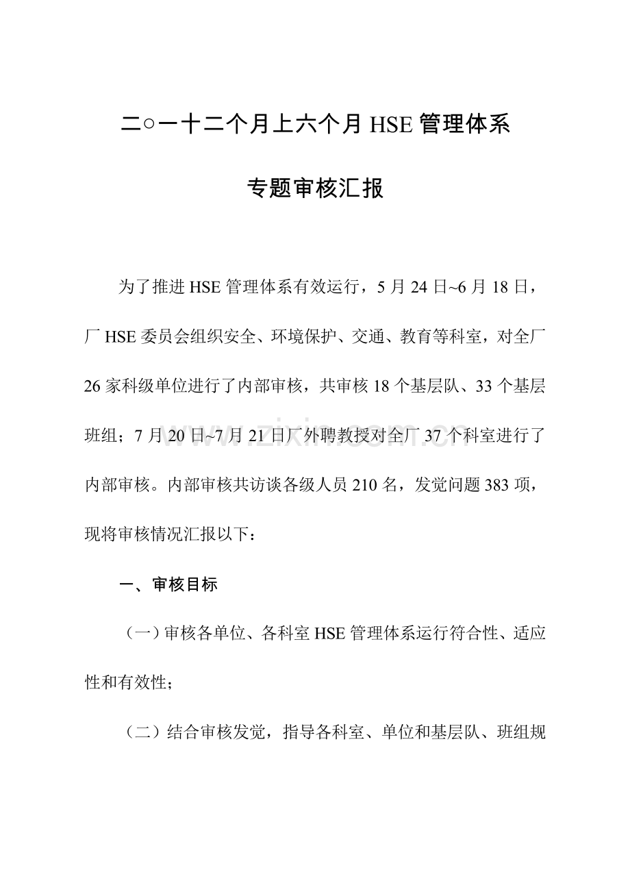 上半年HSE管理标准体系专项审核汇总报告.doc_第1页