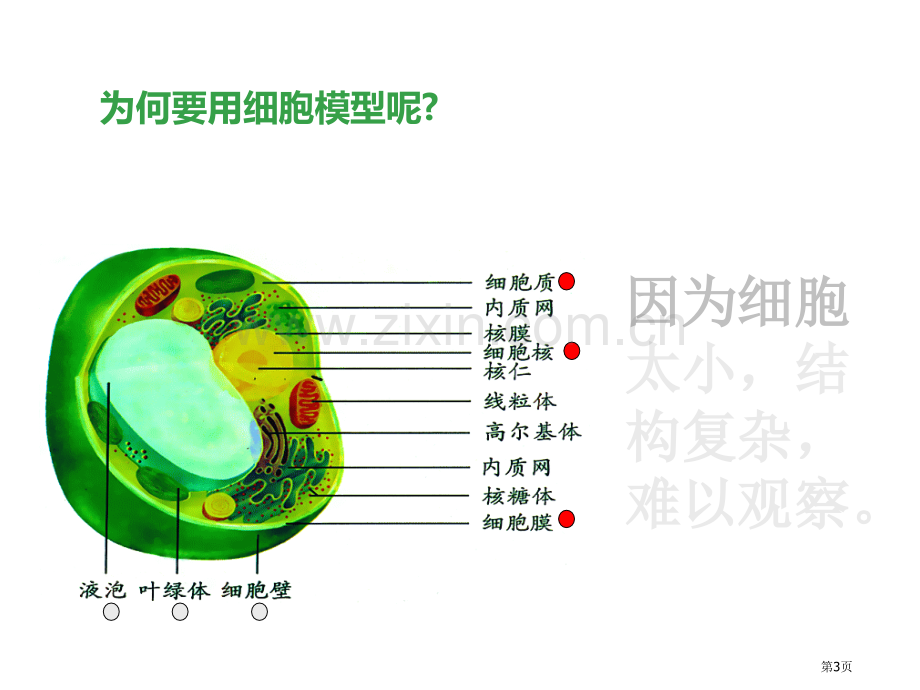 模型、符号的建立与作用省公开课一等奖新名师优质课比赛一等奖课件.pptx_第3页