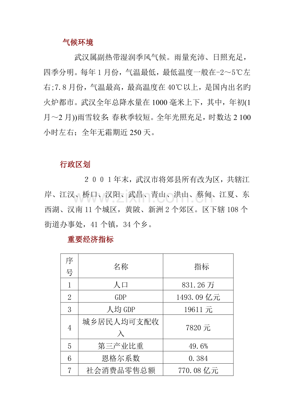 武汉专项项目前期市场调查汇总报告.docx_第2页