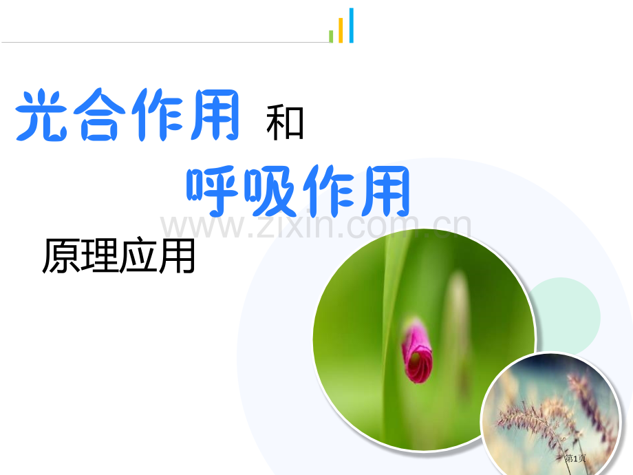 光合作用和呼吸作用原理的应用优质课件省公开课一等奖新名师优质课比赛一等奖课件.pptx_第1页