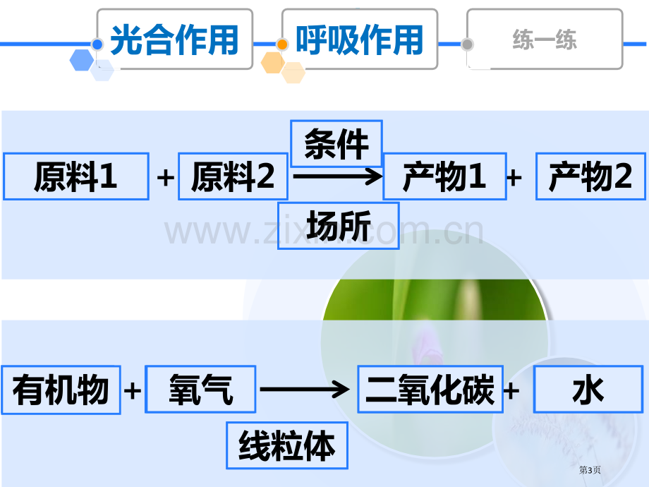 光合作用和呼吸作用原理的应用优质课件省公开课一等奖新名师优质课比赛一等奖课件.pptx_第3页