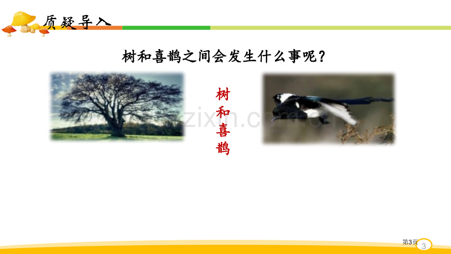 树和喜鹊省公开课一等奖新名师比赛一等奖课件.pptx_第3页