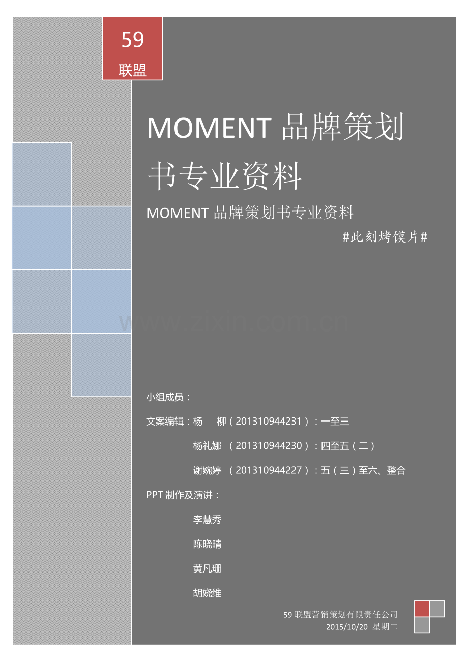 MOMENT品牌专业策划书专业资料.doc_第1页