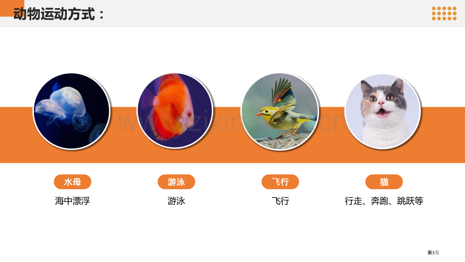 动物的运动教学课件省公开课一等奖新名师优质课比赛一等奖课件.pptx_第3页
