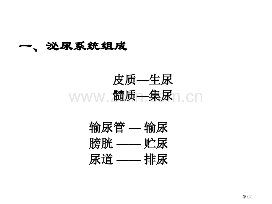 七年级生物泌尿系统省公共课一等奖全国赛课获奖课件.pptx_第3页