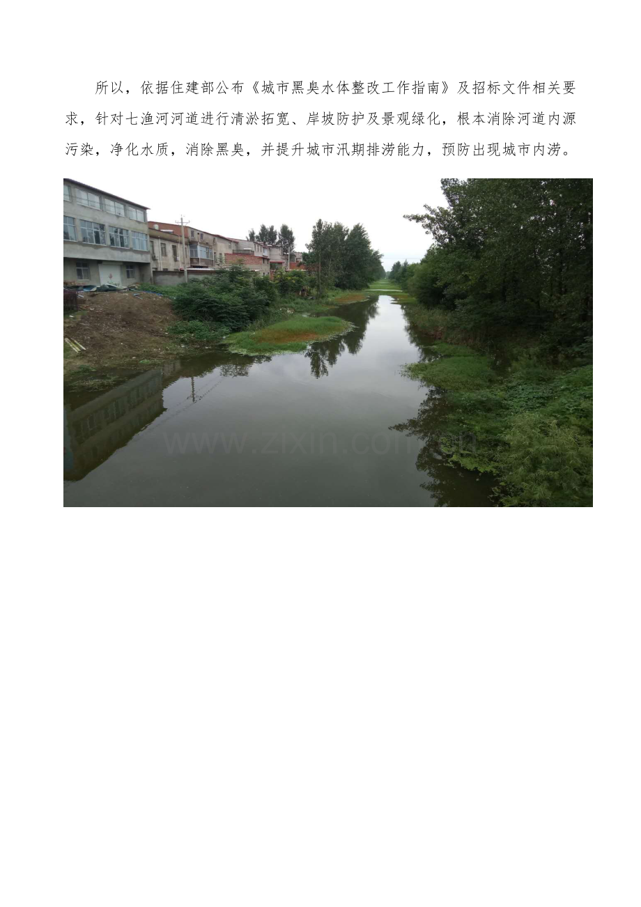 河道清淤综合标准施工专业方案.docx_第2页