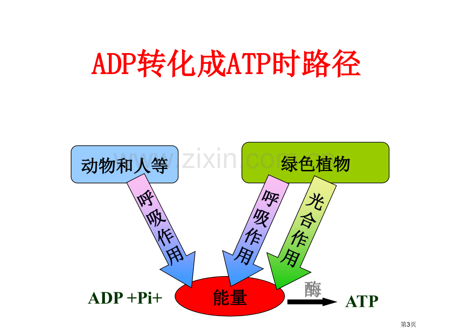 生物能量之源光与光合作用新人教版必修省公共课一等奖全国赛课获奖课件.pptx_第3页