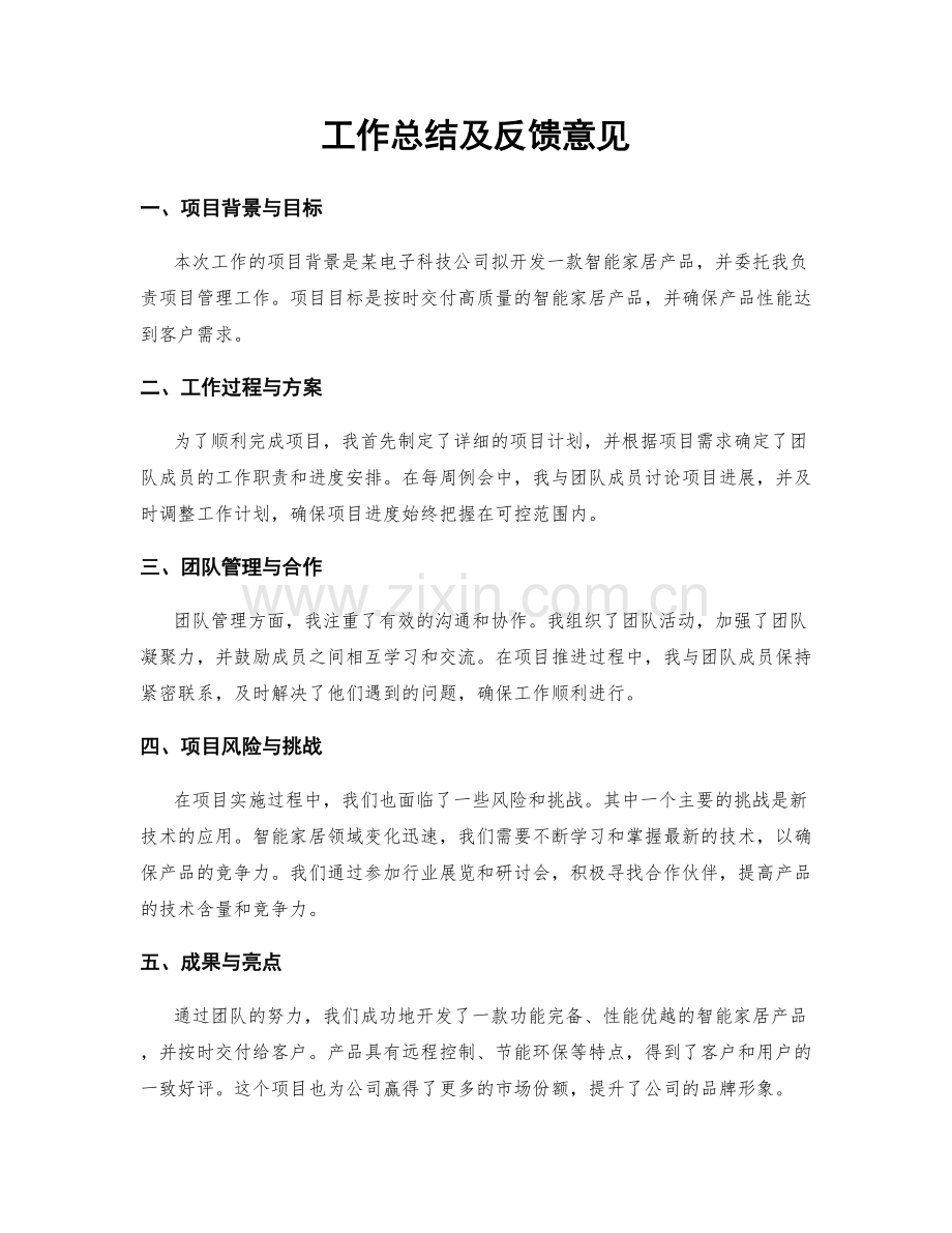 工作总结及反馈意见.docx_第1页