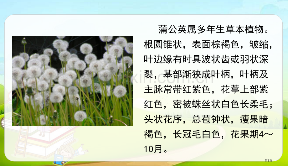 金色的草地课件说课稿省公开课一等奖新名师比赛一等奖课件.pptx_第2页