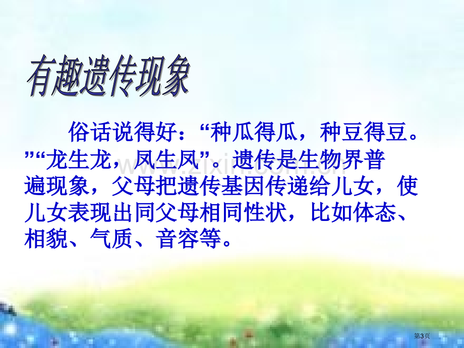 我像谁课件省公开课一等奖新名师优质课比赛一等奖课件.pptx_第3页