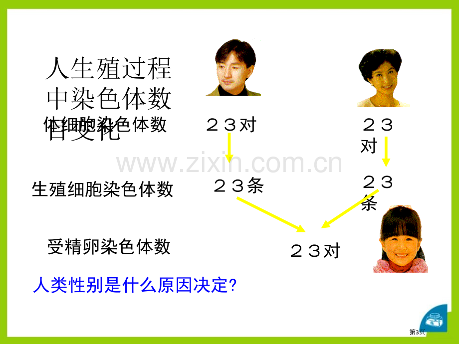 人的性别选择省公开课一等奖新名师优质课比赛一等奖课件.pptx_第3页