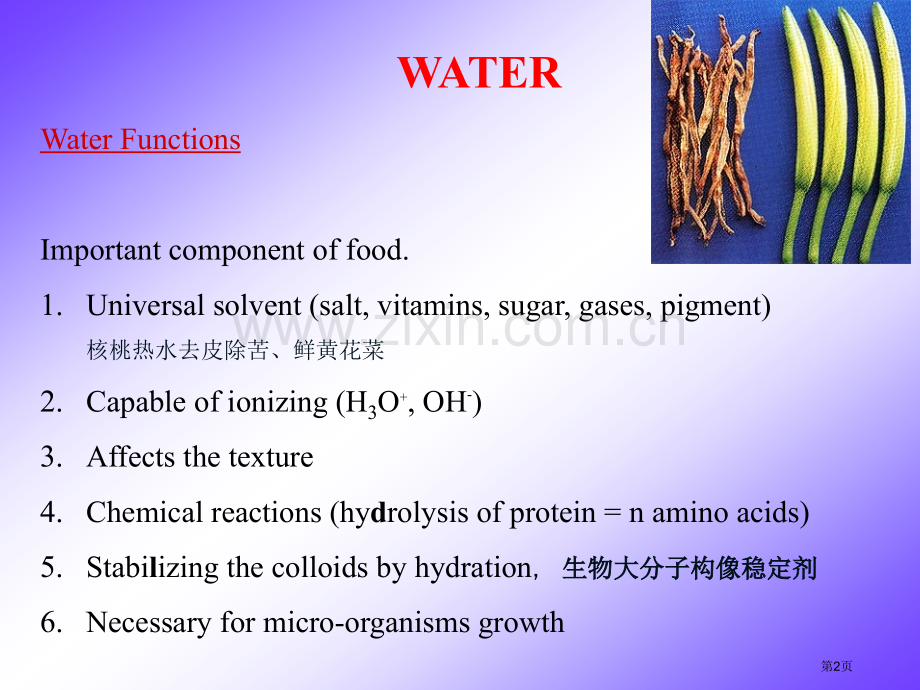 食品化学水分省公共课一等奖全国赛课获奖课件.pptx_第2页