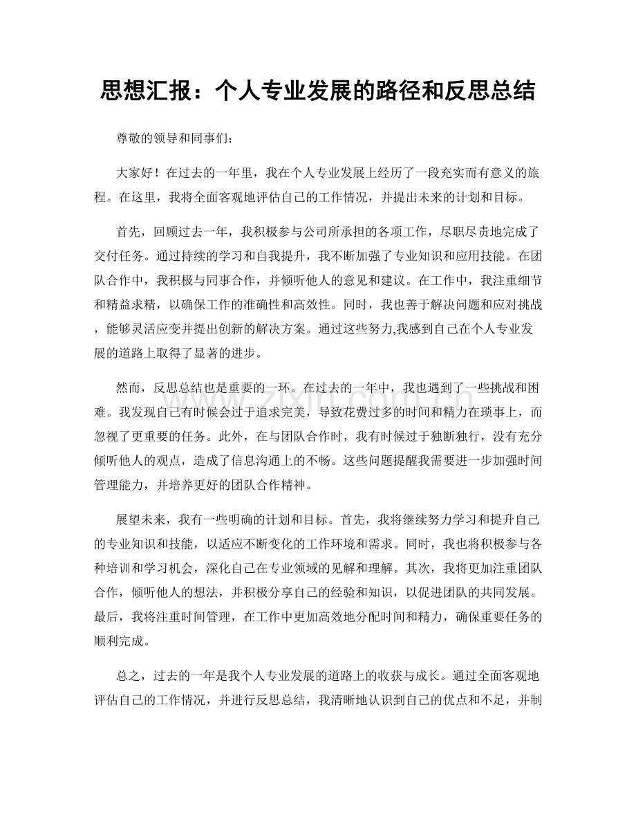 思想汇报：个人专业发展的路径和反思总结.docx_第1页