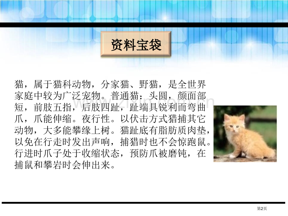 面包房里的猫一课件省公开课一等奖新名师比赛一等奖课件.pptx_第2页