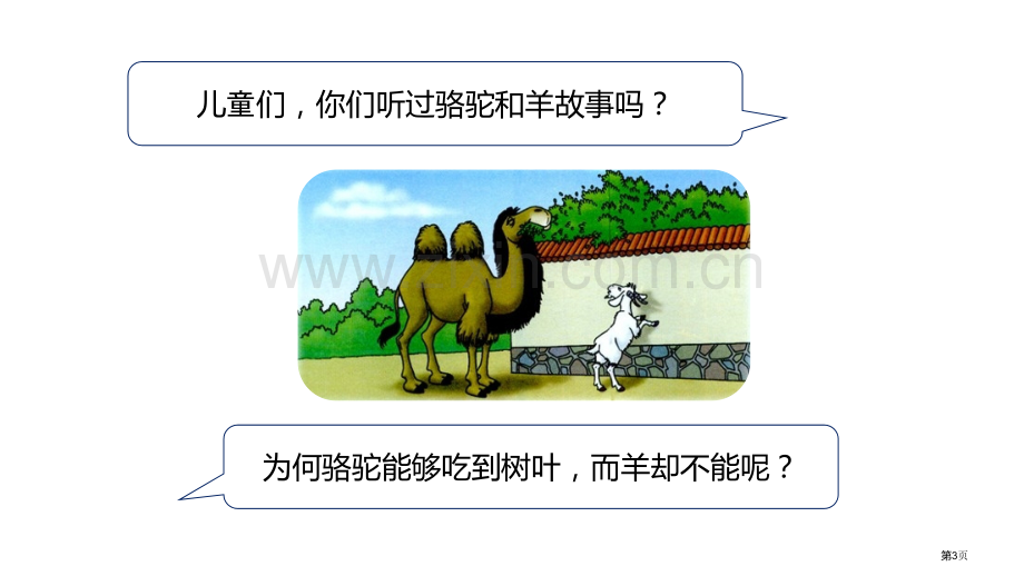 高矮、长短比一比省公开课一等奖新名师优质课比赛一等奖课件.pptx_第3页