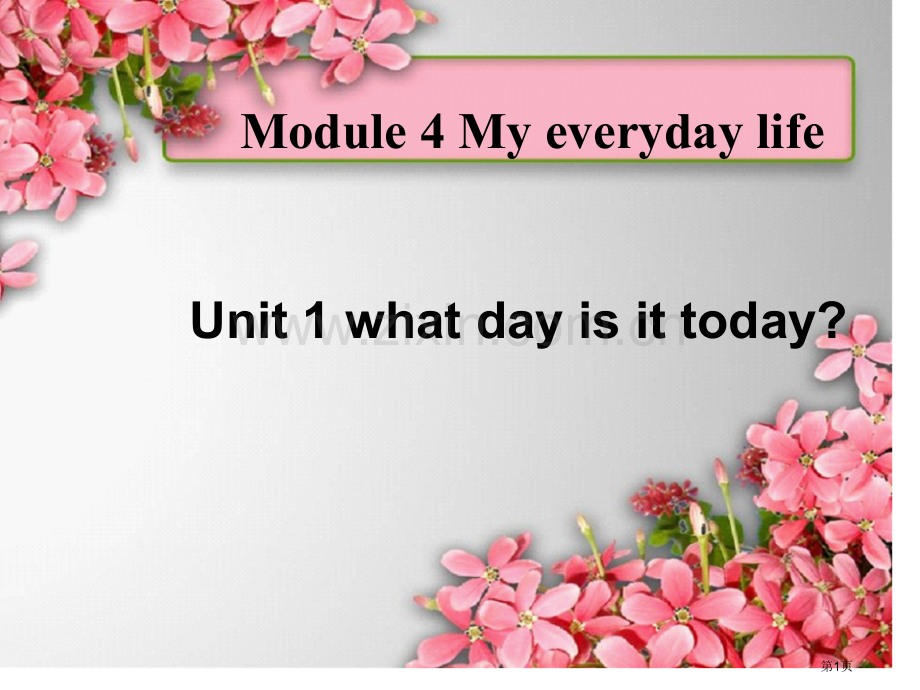 Module4-Unit1Whatdayisittoday省公共课一等奖全国赛课获奖课件.pptx_第1页