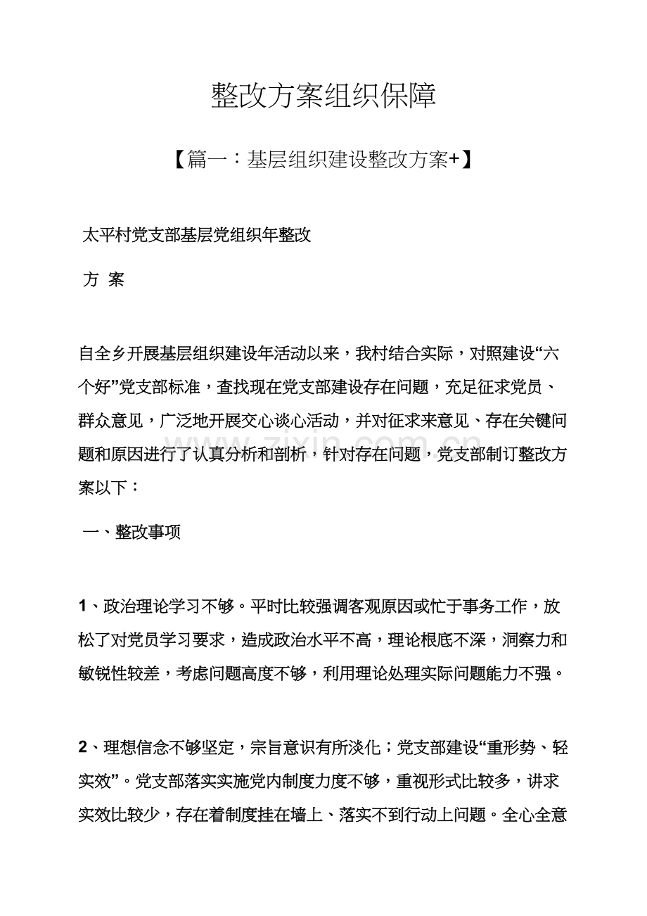 活动专项方案之整改专项方案的组织保障.docx_第1页