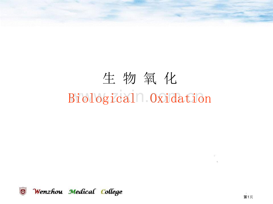 生物氧化专业知识省公共课一等奖全国赛课获奖课件.pptx_第1页