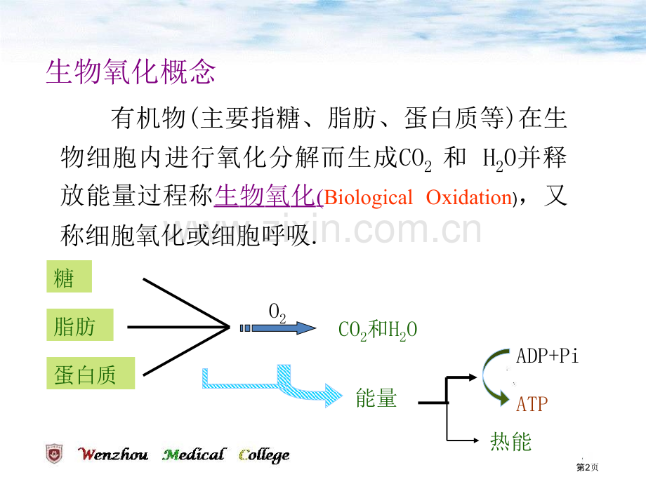 生物氧化专业知识省公共课一等奖全国赛课获奖课件.pptx_第2页