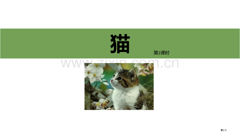 猫教学省公开课一等奖新名师优质课比赛一等奖课件.pptx_第1页