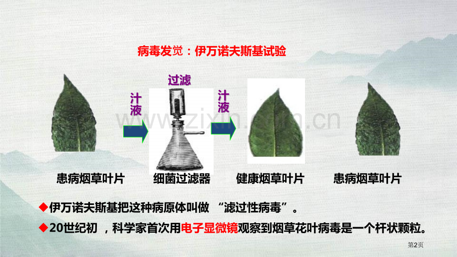 病毒优质课件省公开课一等奖新名师优质课比赛一等奖课件.pptx_第2页