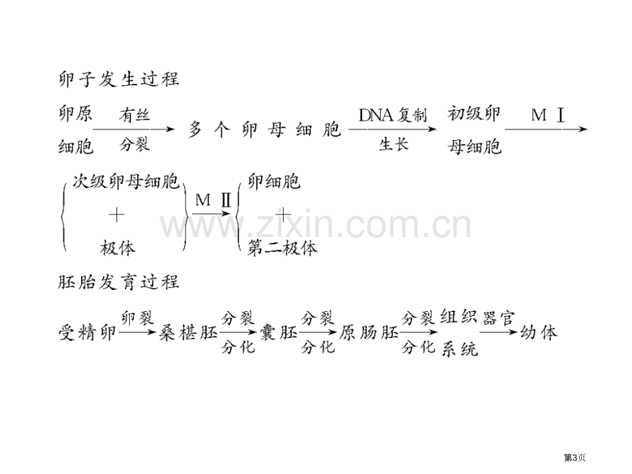 学案胚胎工程与生物技术的安全性和伦理问题市公开课一等奖百校联赛特等奖课件.pptx_第3页