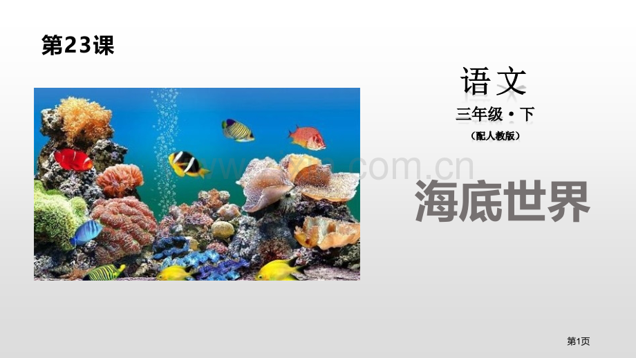 海底世界PPT省公开课一等奖新名师比赛一等奖课件.pptx_第1页