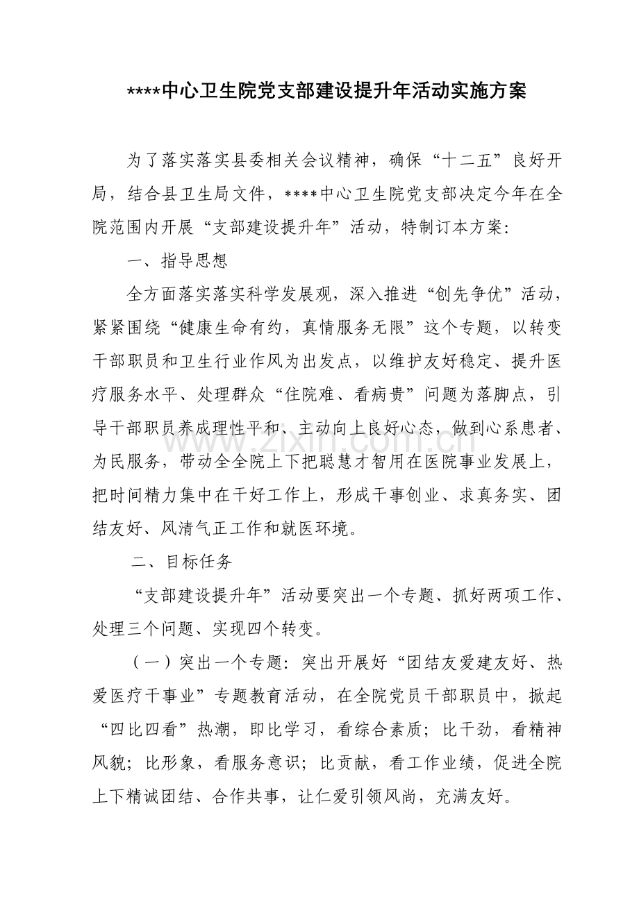 卫生院支部建设提升年活动实施专业方案.doc_第1页