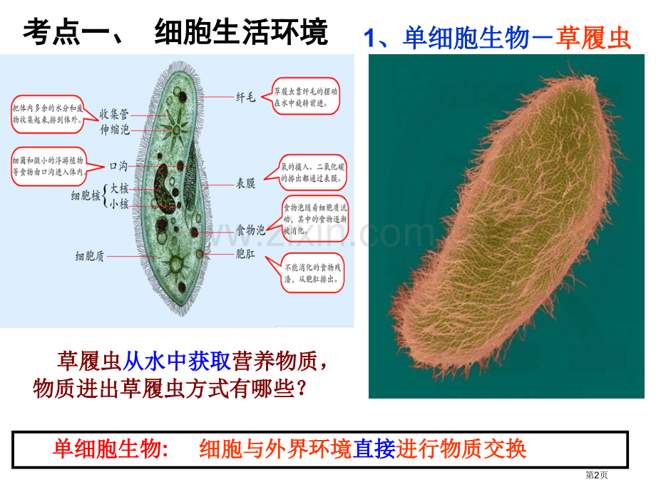 一轮复习人体的内环境和稳态和实例省公共课一等奖全国赛课获奖课件.pptx_第2页