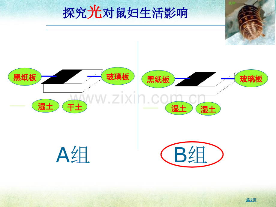 探索生命的方法省公开课一等奖新名师优质课比赛一等奖课件.pptx_第2页