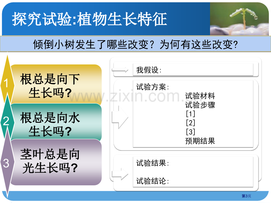 一棵顽强的小树课件省公开课一等奖新名师优质课比赛一等奖课件.pptx_第3页