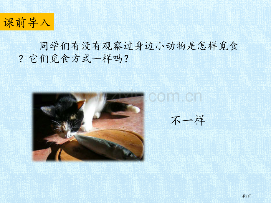 动物觅食课件省公开课一等奖新名师优质课比赛一等奖课件.pptx_第2页