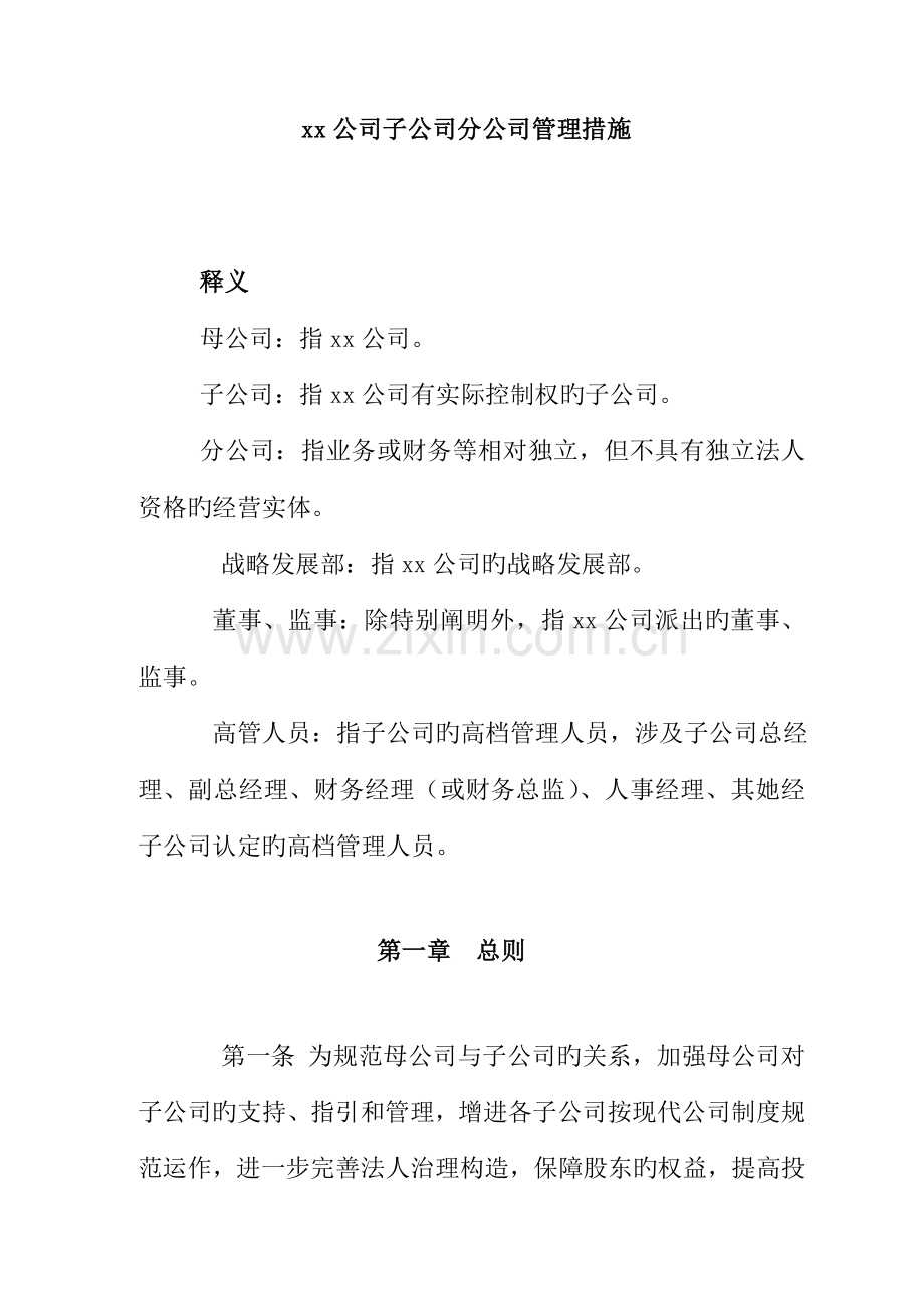 分公司管理新版制度.docx_第1页