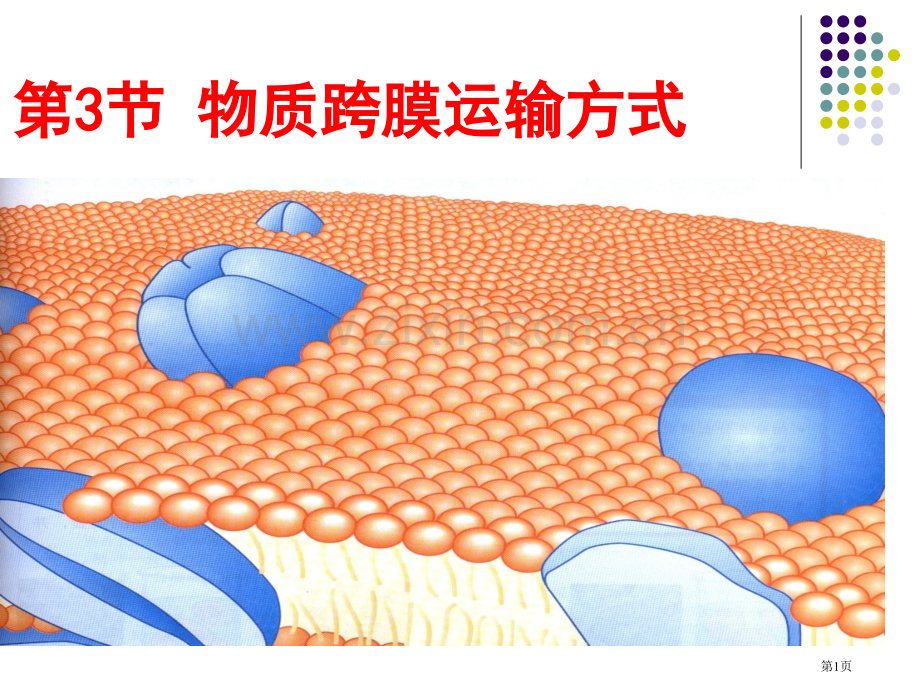 物质跨膜运输的方式(0002)市公开课一等奖百校联赛获奖课件.pptx_第1页